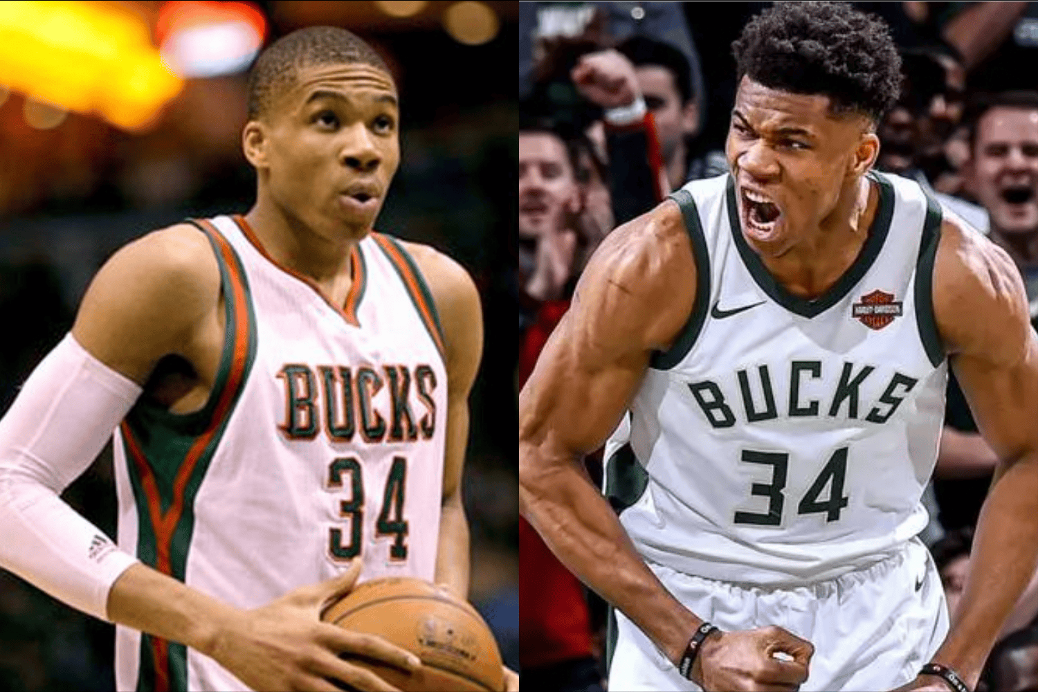 今年NBA场均篮板最多的五名球员是谁？的简单介绍